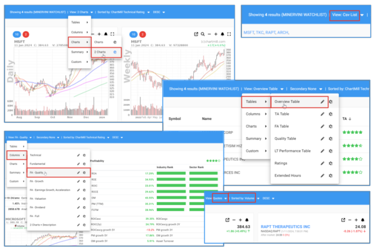 screener view